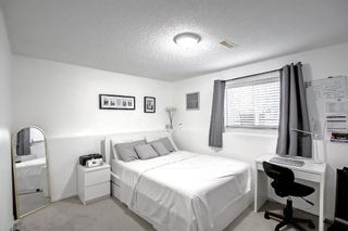 Photo 24: 304 Sagewood Park SW: Airdrie Detached for sale : MLS®# A2003544