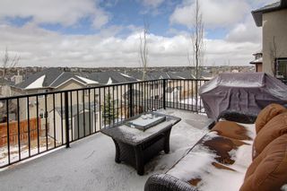 Photo 36: 70 Royal Ridge Mount NW in Calgary: Royal Oak Detached for sale : MLS®# A1101714