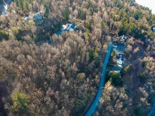 Photo 9: 43207 SALMONBERRY DRIVE in Chilliwack: Vacant Land for sale : MLS®# C8058828