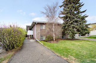 Photo 1: 6 605 67 Avenue SW in Calgary: Kingsland Apartment for sale : MLS®# A2047193