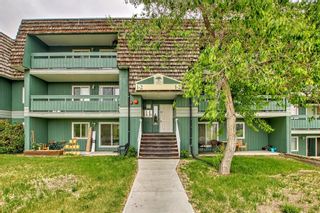 Main Photo: 1206 315 Southampton Drive SW in Calgary: Southwood Apartment for sale : MLS®# A2053655