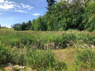 Photo 1: 23700 6 Avenue in Langley: Campbell Valley Land for sale : MLS®# R2593073