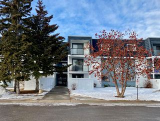 Photo 36: 1301 3115 51 Street SW in Calgary: Glenbrook Apartment for sale : MLS®# A2020289