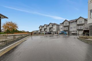 Photo 16: 15 3323 ROCKHILL Place in Abbotsford: Central Abbotsford Townhouse for sale in "TOWNLINE TOWNHOMES" : MLS®# R2630602