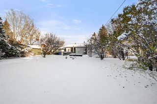 Photo 33: 5302 57 Avenue: Olds Detached for sale : MLS®# A2010454