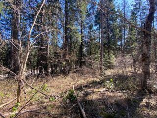 Photo 9: Lot L VIEW RIDGE ROAD in Nelson: Vacant Land for sale : MLS®# 2460797