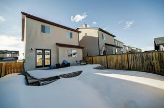 Photo 29: 44 Bridlecrest Street SW in Calgary: Bridlewood Detached for sale : MLS®# A1186403