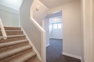 Photo 20: 222 Radley Place SE in Calgary: Albert Park/Radisson Heights Full Duplex for sale : MLS®# A2016685