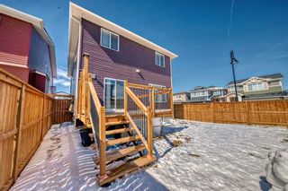 Photo 39: 476 Bayview Way: Airdrie Detached for sale : MLS®# A2118083