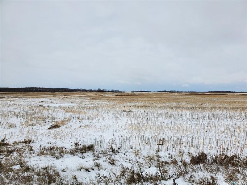 FEATURED LISTING: Grain Land - RM of Wallace #243 Wallace