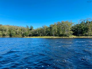 Photo 7: 2.8+/- acres Sinclair Lake Road in Gaspereaux Lake: 303-Guysborough County Vacant Land for sale (Highland Region)  : MLS®# 202128876