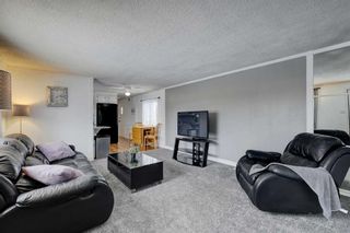 Photo 5: 20 Spring Dale Court: Airdrie Detached for sale : MLS®# A2114678