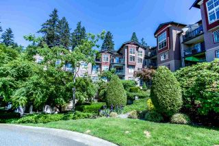 Photo 20: 205 1144 STRATHAVEN Drive in North Vancouver: Northlands Condo for sale in "STRATHAVEN" : MLS®# R2068468