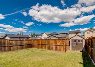 Photo 36: 451 Silverado Plains Circle SW in Calgary: Silverado Detached for sale : MLS®# A1239203