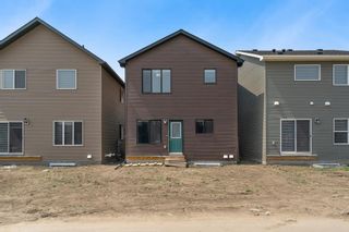Photo 38: 116 HOMESTEAD Grove NE in Calgary: C-686 Detached for sale : MLS®# A2050717