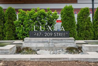 Photo 39: 4 7947 209 Street in Langley: Willoughby Heights Townhouse for sale in "Luxia" : MLS®# R2780829