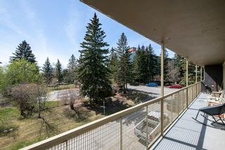 Photo 23: 308 3316 Rideau Place SW in Calgary: Rideau Park Apartment for sale : MLS®# A2044699
