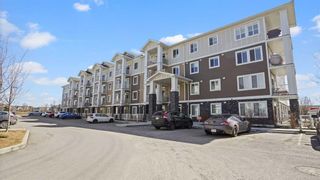 Photo 42: 4303 522 Cranford Drive SE in Calgary: Cranston Apartment for sale : MLS®# A2123266