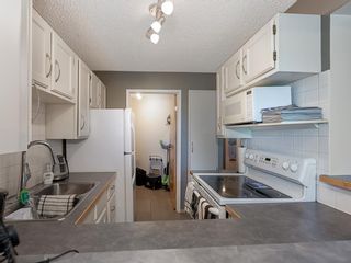 Photo 17: 509 8604 48 Avenue NW in Calgary: Bowness Apartment for sale : MLS®# A1240970