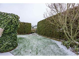 Photo 38: 32110 BALFOUR Drive in Abbotsford: Central Abbotsford House for sale : MLS®# R2538630