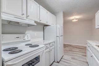 Photo 9: 182 8948 Elbow Drive SW in Calgary: Haysboro Apartment for sale : MLS®# A1161260