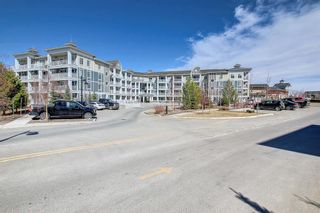 Photo 43: 419 130 Auburn Meadows View SE in Calgary: Auburn Bay Apartment for sale : MLS®# A2133523