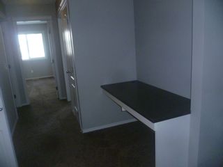 Photo 17: 17013 120 Street in Edmonton: House Duplex for rent