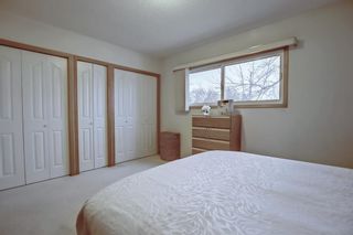 Photo 22: 2450 Cottonwood Crescent SE in Calgary: Southview Detached for sale : MLS®# A1178942