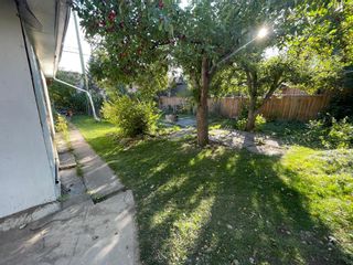 Photo 28: 509 55 Avenue SW in Calgary: Windsor Park Detached for sale : MLS®# A1148351