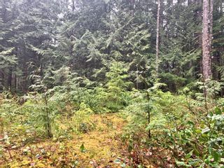 Photo 25: Lot 61 Busby Island in Sonora Island: Isl Small Islands (Campbell River Area) Land for sale (Islands)  : MLS®# 893766