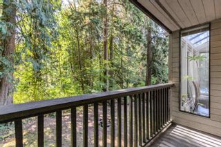 Photo 14: 23360 142 Avenue in Maple Ridge: Silver Valley House for sale : MLS®# R2817868