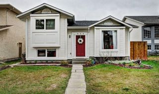 Photo 1: 959 MCKENZIE Drive SE in Calgary: McKenzie Lake House for sale : MLS®# C4183479