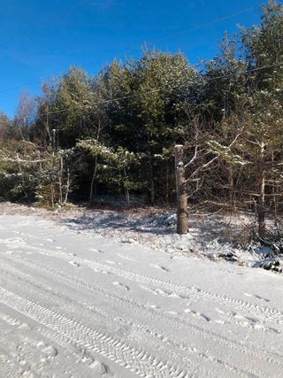 Photo 6: Lot 5 Lakeview Drive in Lake La Rose: Annapolis County Vacant Land for sale (Annapolis Valley)  : MLS®# 202300542