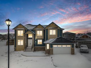 Photo 1: 163 Canoe Crescent SW: Airdrie Detached for sale : MLS®# A2117242