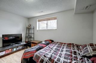 Photo 17: 510 33 Avenue NE in Calgary: Winston Heights/Mountview Semi Detached for sale : MLS®# A1151315