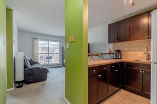 Photo 3: 203 1613 11 Avenue SW in Calgary: Sunalta Apartment for sale : MLS®# A2035749