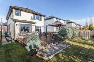 Photo 27: 141 Cranfield Manor SE in Calgary: Cranston Detached for sale : MLS®# A1157518