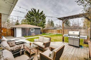 Photo 42: 4812 Worcester Drive SW in Calgary: Wildwood Detached for sale : MLS®# A2126766