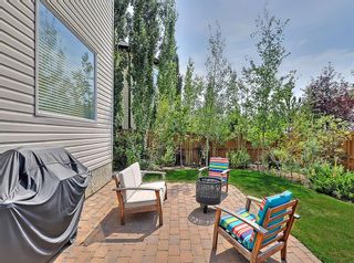 Photo 44: 250 Royal Birch Way NW in Calgary: Royal Oak Detached for sale : MLS®# A1254634