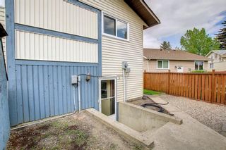 Photo 45: 7 Erin Park Close SE in Calgary: Erin Woods Detached for sale : MLS®# A1225142