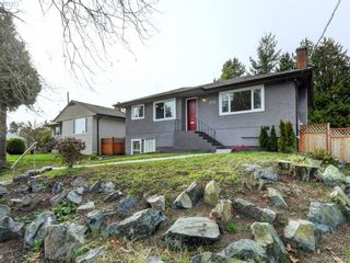 Photo 19: 3590 Shelbourne St in VICTORIA: SE Cedar Hill House for sale (Saanich East)  : MLS®# 805260