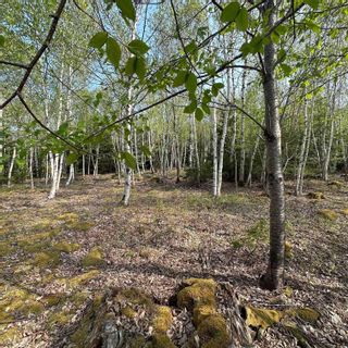 Photo 1: Lot 5 Raspberry Court in Italy Cross: 405-Lunenburg County Vacant Land for sale (South Shore)  : MLS®# 202309674