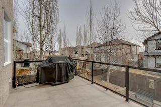 Photo 42: 34 Cranridge Terrace SE in Calgary: Cranston Detached for sale : MLS®# A1213366