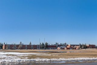 Photo 22: 206 4908 17 Avenue SE in Calgary: Forest Lawn Apartment for sale : MLS®# C4305197