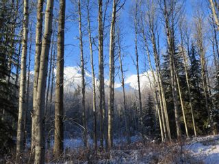 Photo 7: GLACIER GULCH RD ROAD in Smithers: Smithers - Rural Land for sale (Smithers And Area (Zone 54))  : MLS®# R2633357