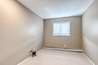 Photo 13: 201 1723 35 Street SE in Calgary: Albert Park/Radisson Heights Apartment for sale : MLS®# A1196322