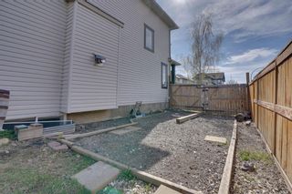 Photo 29: 8 Cranwell Green SE in Calgary: Cranston Detached for sale : MLS®# A2130880
