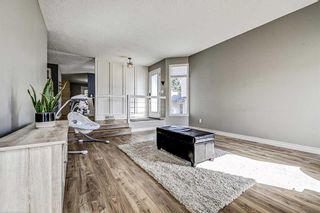 Photo 13: 511 Ranchridge Court NW in Calgary: Ranchlands Detached for sale : MLS®# A1258754