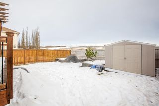 Photo 8: 54 Royal Birch Rise NW in Calgary: Royal Oak Detached for sale : MLS®# A2013238