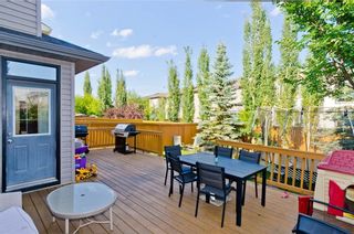 Photo 45: 307 CHAPARRAL RAVINE View SE in Calgary: Chaparral House for sale : MLS®# C4132756